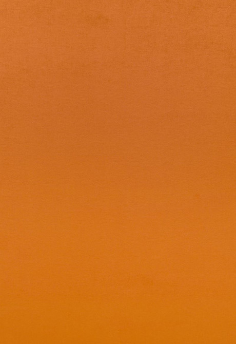 Sophia Velvet Valencia 68132 by Schumacher Designer Fabric Sophia-Velvet 61% Cotton, 39% Modal Wyzenbeek 20,000 Horizontal: - and Vertical: - 55 - Swanky Fabrics -