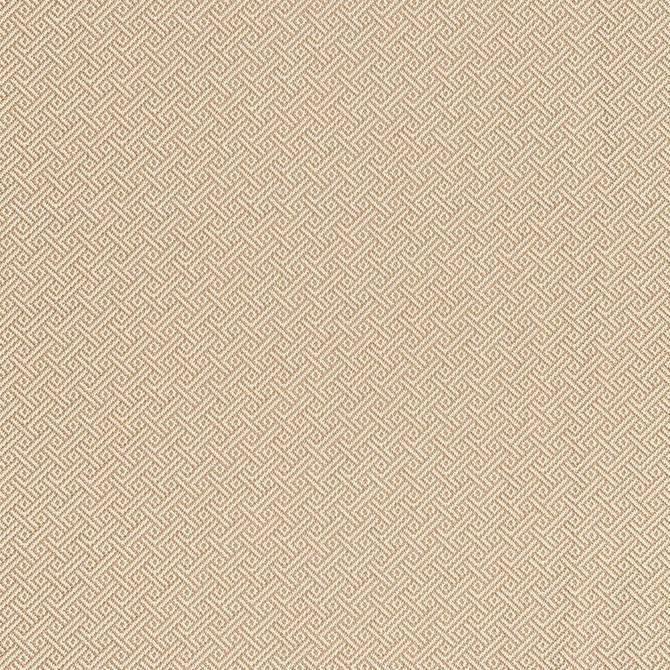 Picard Weave Greige 66411 by Schumacher Designer Fabric COURTRAI See Sample ITALY HEAVY DUTY </p><p>Repeat: Horizontal: 7/8" (2CM) and Vertical: 7/8" (2CM) 56 1/2" WIDE (144CM) - Swanky Fabrics -