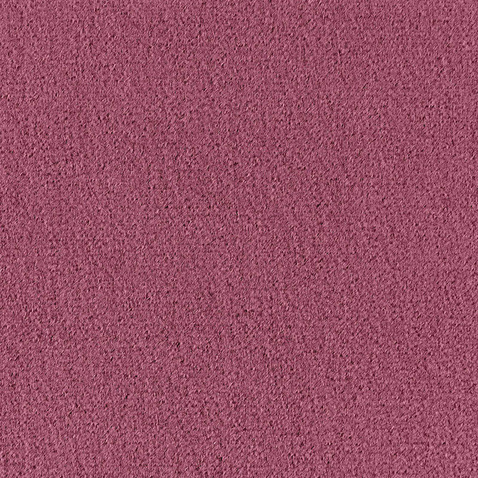 Palermo Mohair Velvet Mulberry 64902 by Schumacher Fabric Schumacher Fabric Palermo Mohair Velvet Mulberry 64902Fabric MOHAIR 51% NETHERLANDS </p><p>Repeat: H: , V: 55 - Fabric Carolina -
