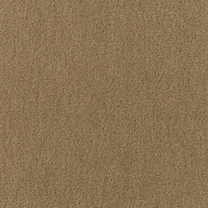 San Carlo Mohair Velvet Herb 64895 by Schumacher Designer Fabric MOHAIR VELVET PROGRAM COTTON 54% MOHAIR 46% NETHERLANDS MARTINDALE 40,000 </p><p>Repeat: Horizontal: and Vertical: 55 - Swanky Fabrics -