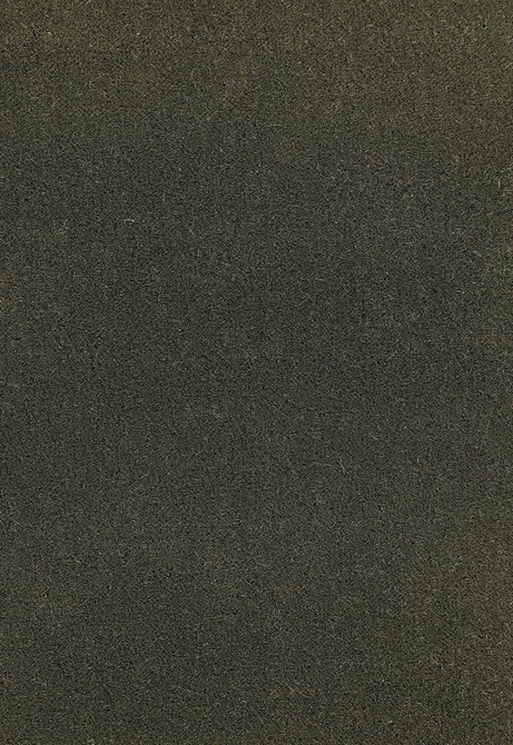 San Carlo Mohair Velvet Balsam 64893 by Schumacher Designer Fabric Mohair-Velvet 54% Cotton, 46% Mohair Martindale 40,000 Horizontal: - and Vertical: - 55 - Swanky Fabrics -