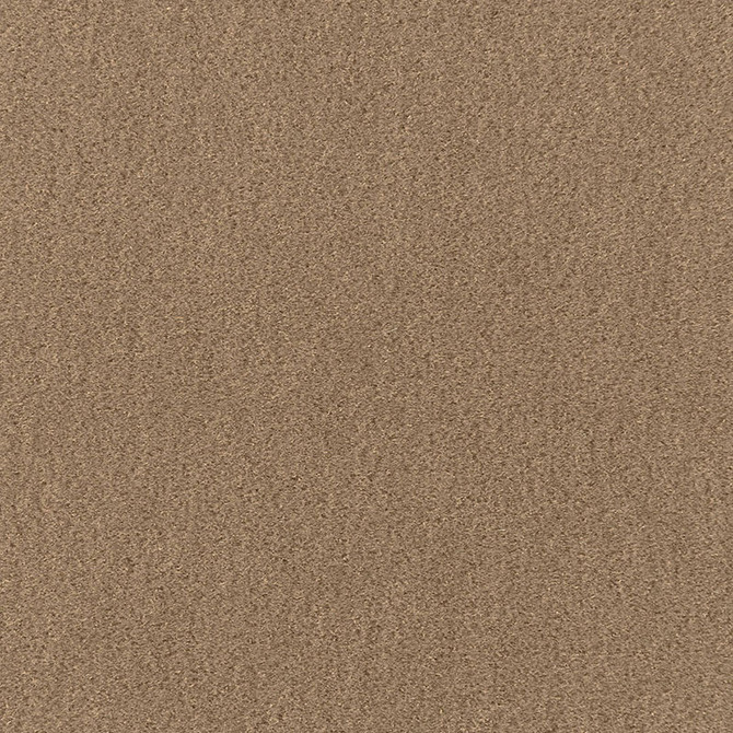 San Carlo Mohair Velvet Sparrow 64885 by Schumacher Designer Fabric MOHAIR VELVET PROGRAM COTTON 54% MOHAIR 46% NETHERLANDS MARTINDALE 40,000 </p><p>Repeat: Horizontal: and Vertical: 55 - Swanky Fabrics -