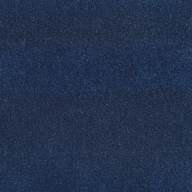 San Carlo Mohair Velvet Royal Blue 64878 by Schumacher Designer Fabric MOHAIR VELVET PROGRAM See Sample NETHERLANDS HEAVY DUTY </p><p>Repeat: Horizontal: - and Vertical: - 55" WIDE (140CM) - Swanky Fabrics -