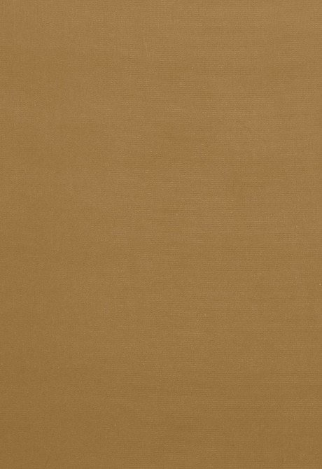 Gainsborough Velvet Split Pea 64561 by Schumacher Designer Fabric Gainsborough-Velvets 100% Cotton Wyzenbeek 40,000 Horizontal: - and Vertical: - 55 - Swanky Fabrics -