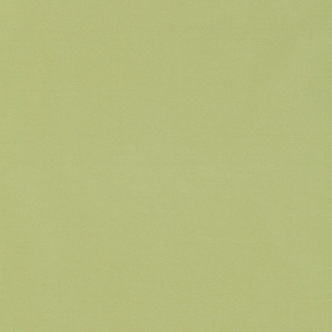 Giordano Taffeta Mint Julep 63971 by Schumacher Fabric Schumacher Fabric Giordano Taffeta Mint Julep 63971Fabric POLYESTER 100% TURKEY </p><p>Repeat: H: , V: 54 - Fabric Carolina -