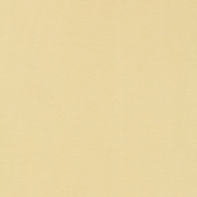 Tiepolo Shantung Weave Ivory 63842 by Schumacher Fabric Schumacher Fabric Tiepolo Shantung Weave Ivory 63842Fabric POLYESTER 100% INDIA </p><p>Repeat: H: , V: 54 - Fabric Carolina -