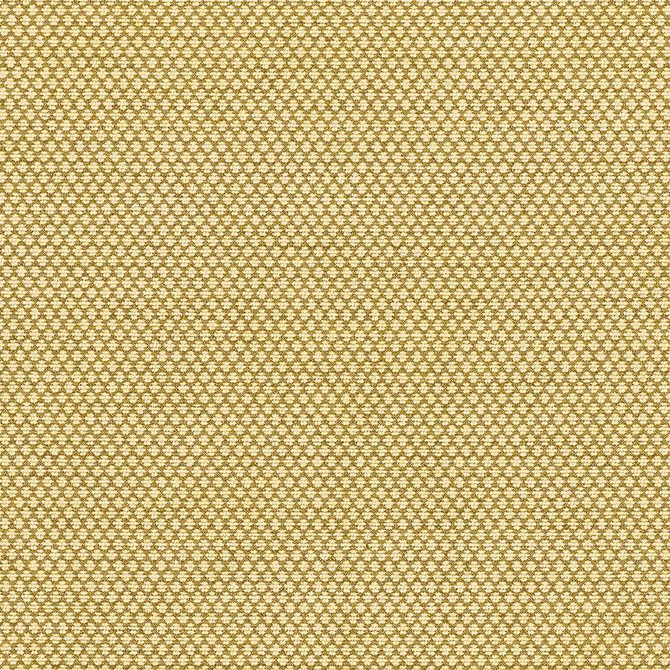 Sorano Chenille Sage 62583 by Schumacher Designer Fabric Chroma - Swanky Fabrics -
