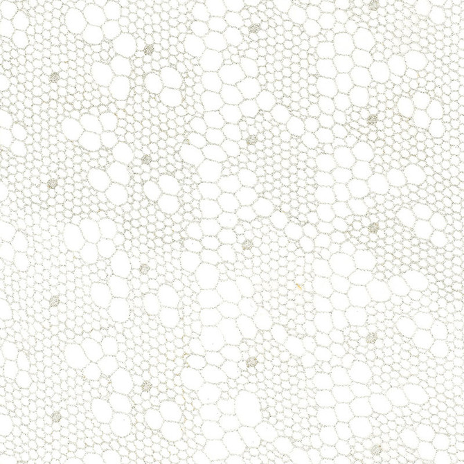 Tracery Lace Silver 55490 by Schumacher Designer Fabric MODERN WOVENS VISCOSE 80% POLYESTER 20% FRANCE </p><p>Repeat: Horizontal: 12 1/2" (32CM) and Vertical: 3" (8CM) 50 - Swanky Fabrics -