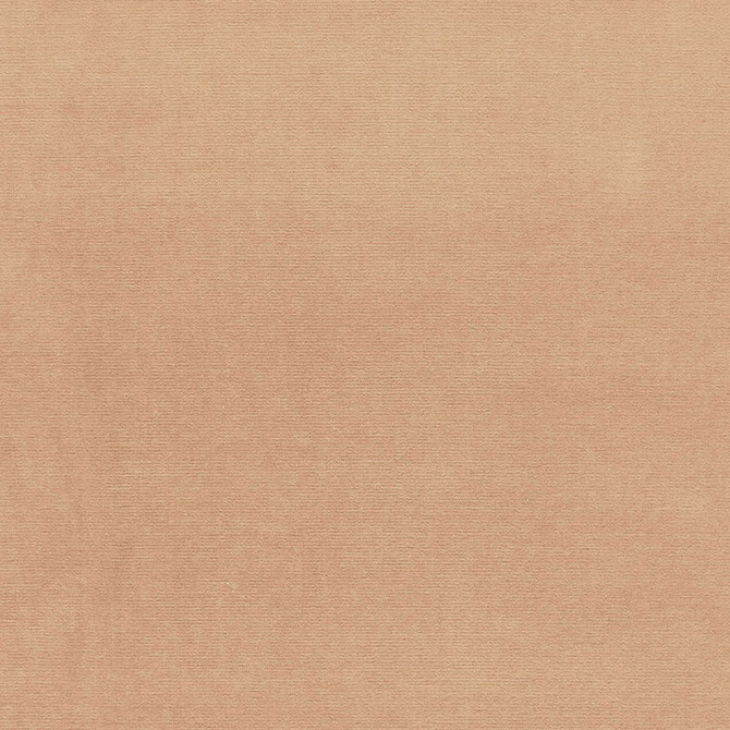 Gainsborough Velvet Oatmeal 43245 by Schumacher Designer Fabric GAINSBOROUGH VELVETS COTTON 100% NETHERLANDS WYZENBEEK 40,000 </p><p>Repeat: Horizontal: and Vertical: 55 - Swanky Fabrics -
