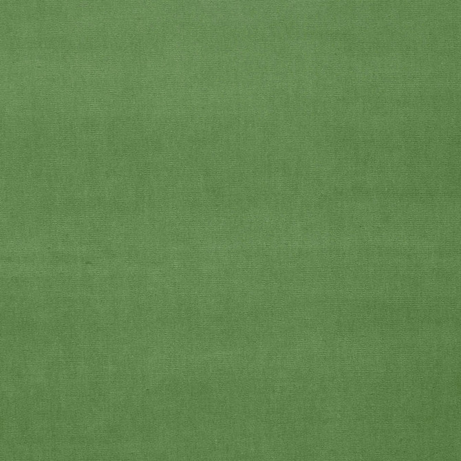 Gainsborough Velvet Parrot 42876 by Schumacher Fabric Schumacher Fabric Gainsborough Velvet Parrot 42876Fabric COTTON 100% NETHERLANDS </p><p>Repeat: H: , V: 55 - Fabric Carolina -