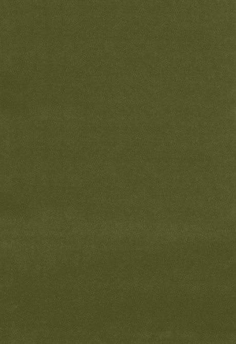 Gainsborough Velvet Olive 42868 by Schumacher Designer Fabric Gainsborough-Velvets 100% Cotton Wyzenbeek 40,000 Horizontal: - and Vertical: - 55 - Swanky Fabrics -