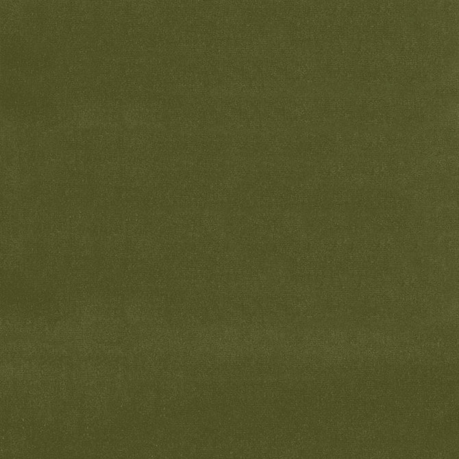 Gainsborough Velvet Olive 42868 by Schumacher Fabric Schumacher Fabric Gainsborough Velvet Olive 42868Fabric COTTON 100% NETHERLANDS </p><p>Repeat: H: , V: 55 - Fabric Carolina -
