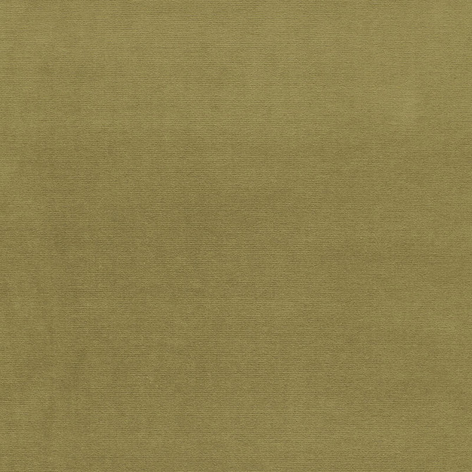 Gainsborough Velvet Lichen 42858 by Schumacher Fabric Schumacher Fabric Gainsborough Velvet Lichen 42858Fabric COTTON 100% NETHERLANDS </p><p>Repeat: H: , V: 55 - Fabric Carolina -