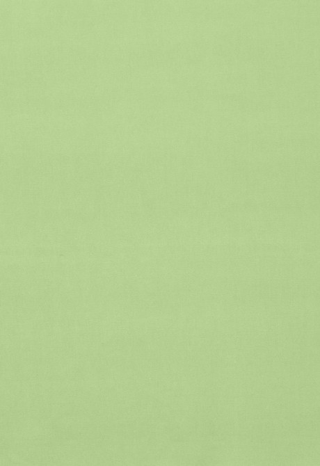 Gainsborough Velvet Mint 42855 by Schumacher Designer Fabric Gainsborough-Velvets 100% Cotton Wyzenbeek 40,000 Horizontal: - and Vertical: - 55 - Swanky Fabrics -