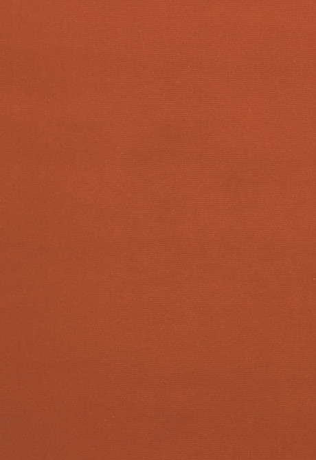 Gainsborough Velvet Apricot 42839 by Schumacher Designer Fabric Gainsborough-Velvets 100% Cotton Wyzenbeek 40,000 Horizontal: - and Vertical: - 55 - Swanky Fabrics -