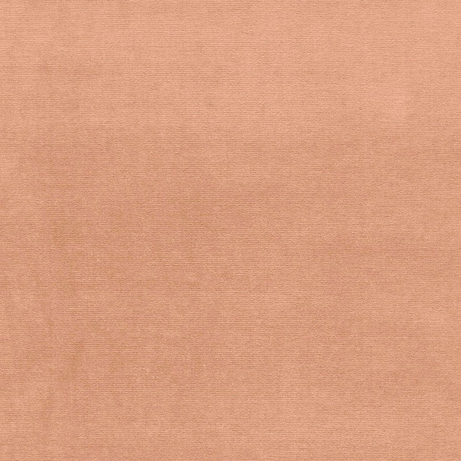 Gainsborough Velvet Praline 42787 by Schumacher Fabric Schumacher Fabric Gainsborough Velvet Praline 42787Fabric COTTON 100% NETHERLANDS </p><p>Repeat: H: , V: 55 - Fabric Carolina -