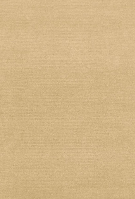 Gainsborough Velvet Vanilla 42779 by Schumacher Designer Fabric Gainsborough-Velvets 100% Cotton Wyzenbeek 40,000 Horizontal: - and Vertical: - 55 - Swanky Fabrics -