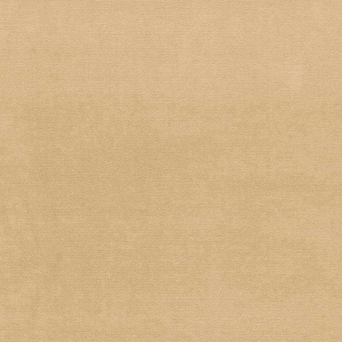 Gainsborough Velvet Vanilla 42779 by Schumacher Designer Fabric GAINSBOROUGH VELVET COTTON 100% NETHERLANDS WYZENBEEK 40,000 </p><p>Repeat: Horizontal: and Vertical: 55 - Swanky Fabrics -