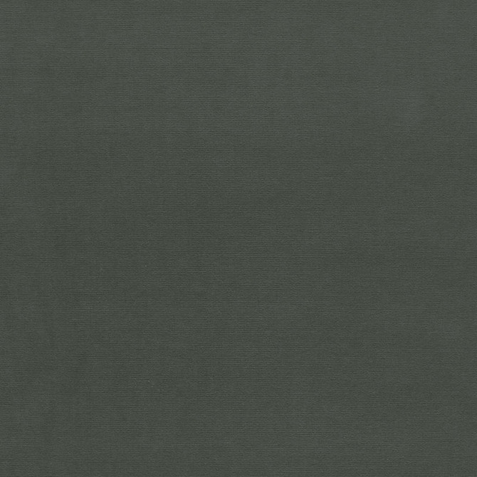 Gainsborough Velvet Gun Metal 42771 by Schumacher Fabric Schumacher Fabric Gainsborough Velvet Gun Metal 42771Fabric COTTON 100% NETHERLANDS </p><p>Repeat: H: , V: 55 - Fabric Carolina -