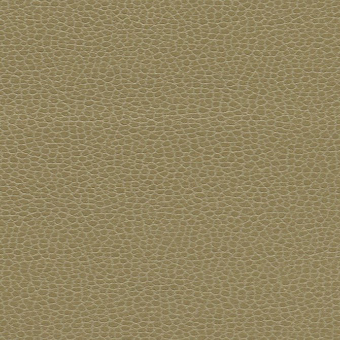 Promessa Briarwood 363-3148 by Schumacher Designer Fabric ULTRALEATHER POLYURETHANE 100% JAPAN WYZENBEEK 400,000 </p><p>Repeat: Horizontal: and Vertical: 54 - Swanky Fabrics -