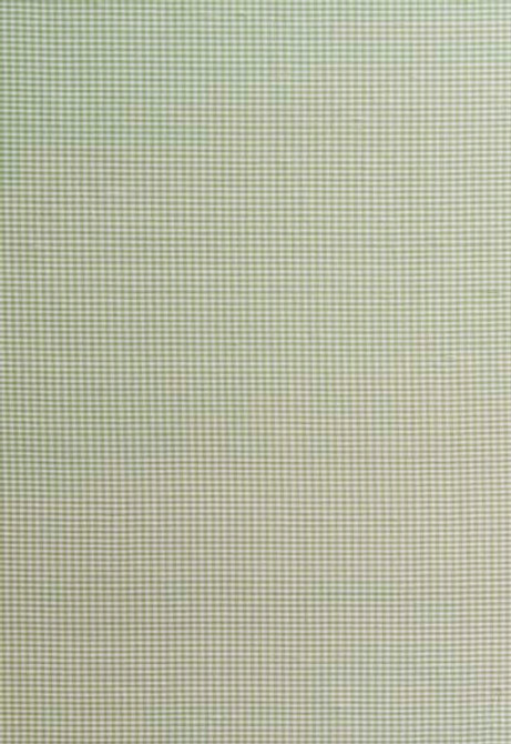 Dalton Silk Gingham Leaf 3449000 by Schumacher Designer Fabric Chroma 100% Silk Martindale 4,000 Horizontal: - and Vertical: - 54 - Swanky Fabrics -