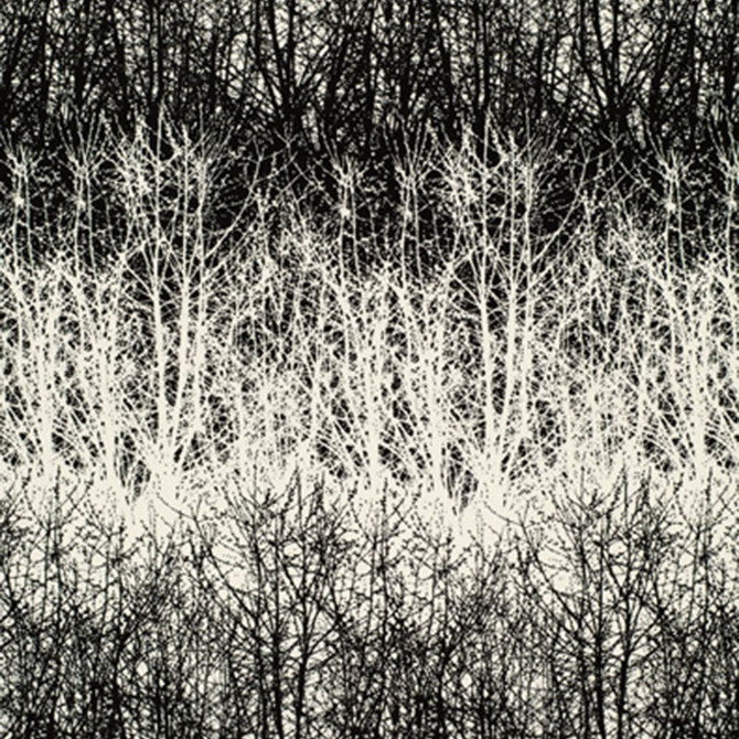 Birches Black 2644021 by Schumacher Designer Fabric GOOD VIBRATIONS COTTON 100% UNITED STATES OF AMERICA </p><p>Repeat: Horizontal: 13 1/2" (34CM) and Vertical: 29 1/2" (75CM) 54 - Swanky Fabrics -