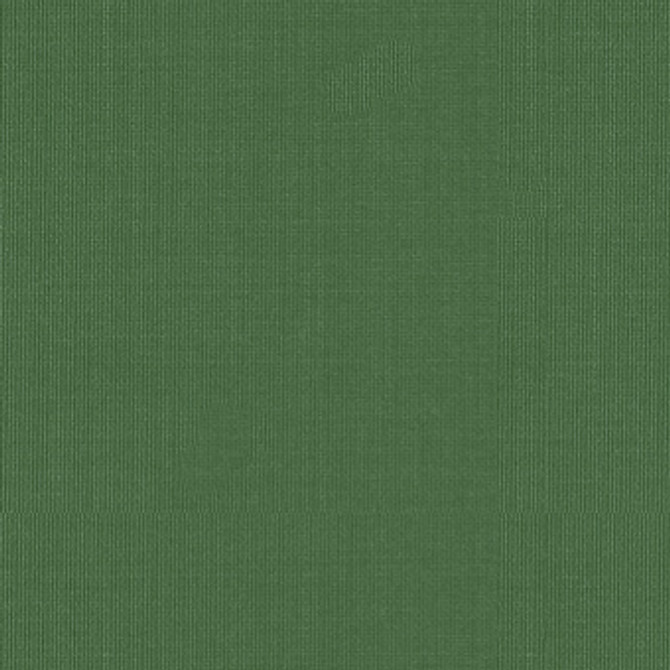 Sargent Silk Taffeta Grass 22654 by Schumacher Designer Fabric COLLECTION-NAME-TBA-22610 100% Silk Martindale 2,000 Horizontal: - and Vertical: - 54 - Swanky Fabrics -