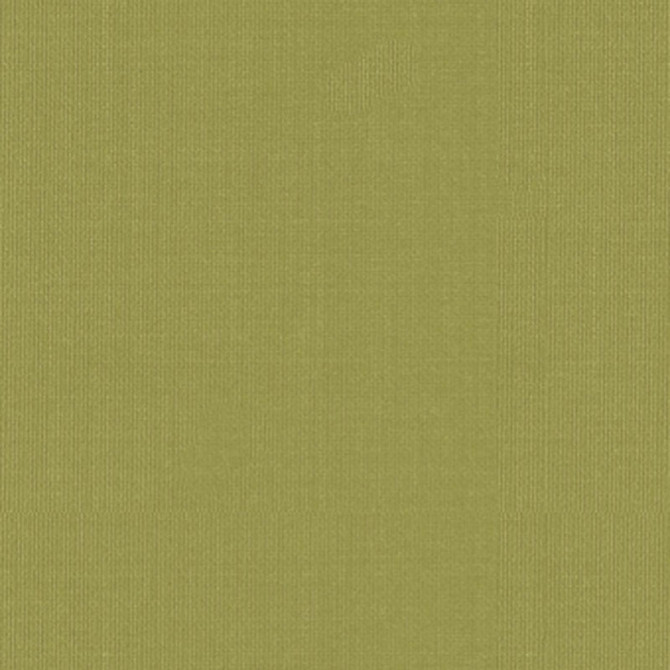 Sargent Silk Taffeta Linden 22652 by Schumacher Fabric Schumacher Fabric Sargent Silk Taffeta Linden 22652Fabric SILK 100% INDIA </p><p>Repeat: H: , V: 54 - Fabric Carolina -