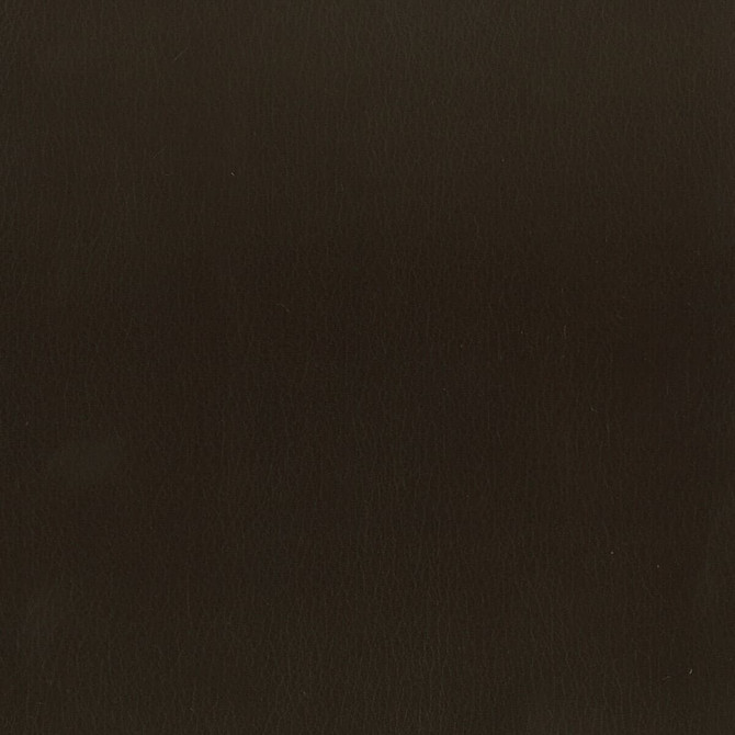 Abbreviate 2 Coffee by Stout Designer Fabric LEATHER LOOKS II 100%OTH 9%OTH CHINA FLAME RETARDANT-U.F.A.C. CLASS 1 FLAME RETARDANT-N.F.P.A. 260A CLASS 1 CATB 117-2013 WYZENBEEK 100 000 DOUBLE RUB WEAR TEST (HEAVY DUTY) Horizontal: 0 and Vertical: 0 54 in - Swanky Fabrics -