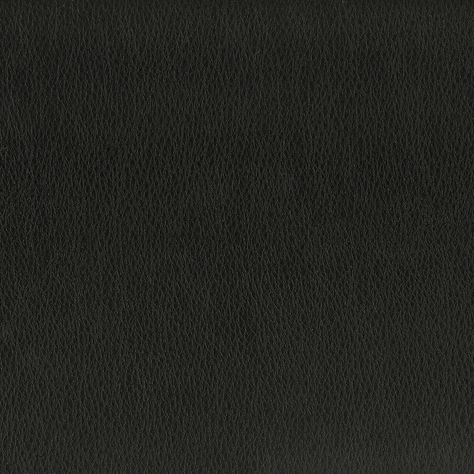 Hayride 1 Jet by Stout Designer Fabric On The Go 100% Polyvinylchloride 1% Other TAIWAN FLAME RETARDANT-CA BULLETIN 117-SECTION E FLAME RETARDANT-U.F.A.C. CLASS 1 (OR A) FLAME RETARDANT-N.F.P.A. 260A CLASS 1 FLAME RETARDANT-FMVSS 302 WYZENBEEK 500 000 DOUBLE RUB WEAR TEST(EXTREMELY HEAVY DUTY) Horizontal: 0 and Vertical: 0 54 in - Swanky Fabrics -