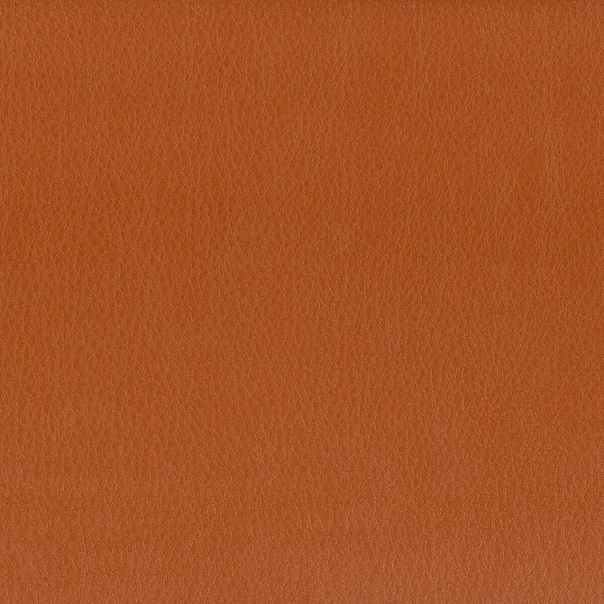 Hayride 9 Gingersnap by Stout Designer Fabric On The Go 100% Polyvinylchloride 1% Other TAIWAN FLAME RETARDANT-CA BULLETIN 117-SECTION E FLAME RETARDANT-U.F.A.C. CLASS 1 (OR A) FLAME RETARDANT-N.F.P.A. 260A CLASS 1 FLAME RETARDANT-FMVSS 302 WYZENBEEK 500 000 DOUBLE RUB WEAR TEST(EXTREMELY HEAVY DUTY) Horizontal: 0 and Vertical: 0 54 in - Swanky Fabrics -