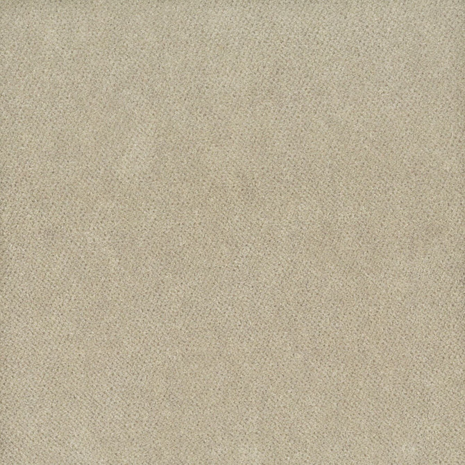 Moore 35 Dove by Stout Designer Fabric TIMELESS VELVETS 82%POL 18%COT SOUTH KOREA FLAME RETARDANT-U.F.A.C. CLASS 1 CATB 117-2013 WYZENBEEK 20 000 DOUBLE RUB WEAR TEST (HEAVY DUTY) Horizontal: 0 and Vertical: 0 54.75 in - Swanky Fabrics -