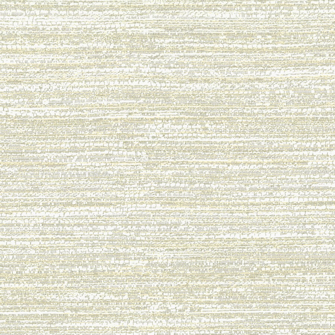 Medusa 2 Birch by Stout Designer Fabric COMFORTABLE LIVING SMOKE/CINDER 70%POL 30%COT INDIA Horizontal: 0.000 and Vertical: 0.000 55 in - Swanky Fabrics -