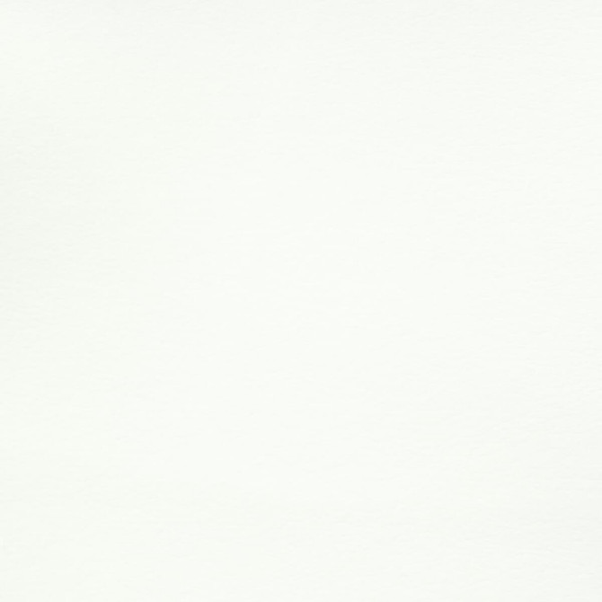 Reims 7 Snow by Stout Designer Fabric Leather Looks Ii 100% Other 9% Other CHINA FLAME RETARDANT-U.F.A.C. CLASS 1 (OR A) FLAME RETARDANT-N.F.P.A. 260A CLASS 1 CATB 117-2013 WYZENBEEK 100 000 DOUBLE RUB WEAR TEST (HEAVY DUTY) Horizontal: 0 and Vertical: 0 54 in - Swanky Fabrics -