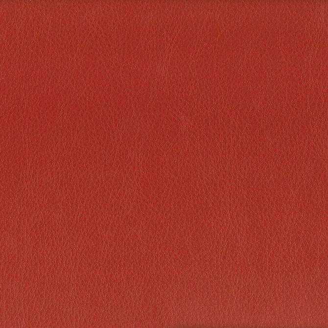 Hayride 13 Pepper by Stout Fabric Stout Fabric Hayride 13 PepperFabric ON THE GO TAIWAN </p><p>Repeat: H: 0.000, V: 0.000 54 in - Fabric Carolina -