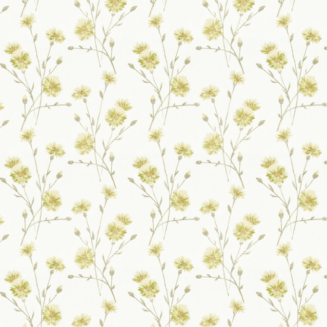 Snazzy 1 Taupe by Stout Fabric Stout Fabric Snazzy 1 TaupeFabric RAINBOW LIBRARY TOAST/DRIFTWOOD INDIA </p><p>Repeat: H: 10.375, V: 9.250 51.87 in - Fabric Carolina -