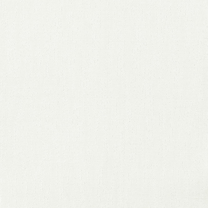 Webster 2 Bone by Stout Designer Fabric SHINE ON PERFORMANCE 57%SDA 43%SDP CHINA Horizontal: 0.000 and Vertical: 0.000 54 in - Swanky Fabrics -