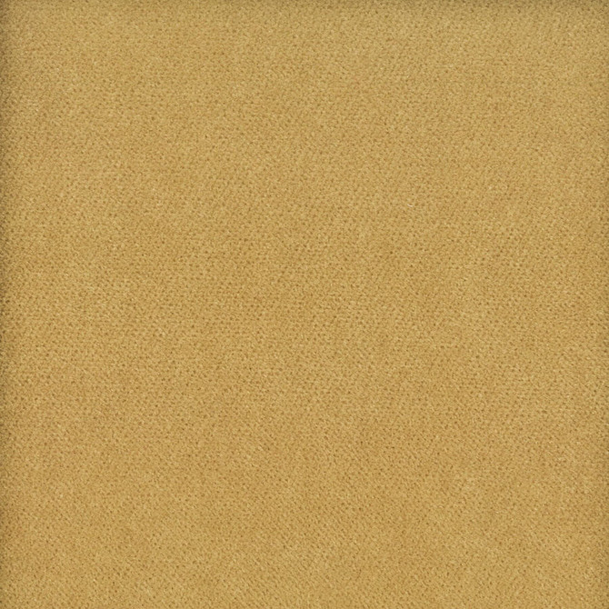 Moore 1 Caramel by Stout Designer Fabric Timeless Velvets 82% Polyester 18% Cotton SOUTH KOREA FLAME RETARDANT-U.F.A.C. CLASS 1 (OR A) CATB 117-2013 WYZENBEEK 20 000 DOUBLE RUB WEAR TEST (HEAVY DUTY) Horizontal: 0 and Vertical: 0 54.75 in - Swanky Fabrics -