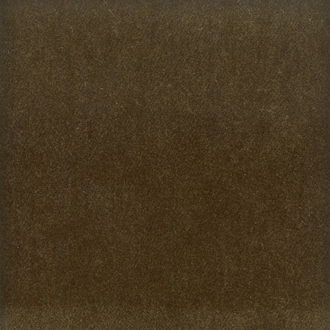 Moore 6 Twig by Stout Fabric Stout Fabric Moore 6 TwigFabric TIMELESS VELVETS SOUTH KOREA </p><p>Repeat: H: 0.000, V: 0.000 54.75 in - Fabric Carolina -