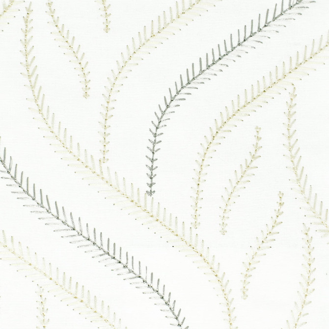 Nero 4 Cream by Stout Designer Fabric RAINBOW LIBRARY EGGSHELL/SANDSTONE 100%COT %BEMB INDIA Horizontal: 6.250 and Vertical: 5.000 51 in - Swanky Fabrics -