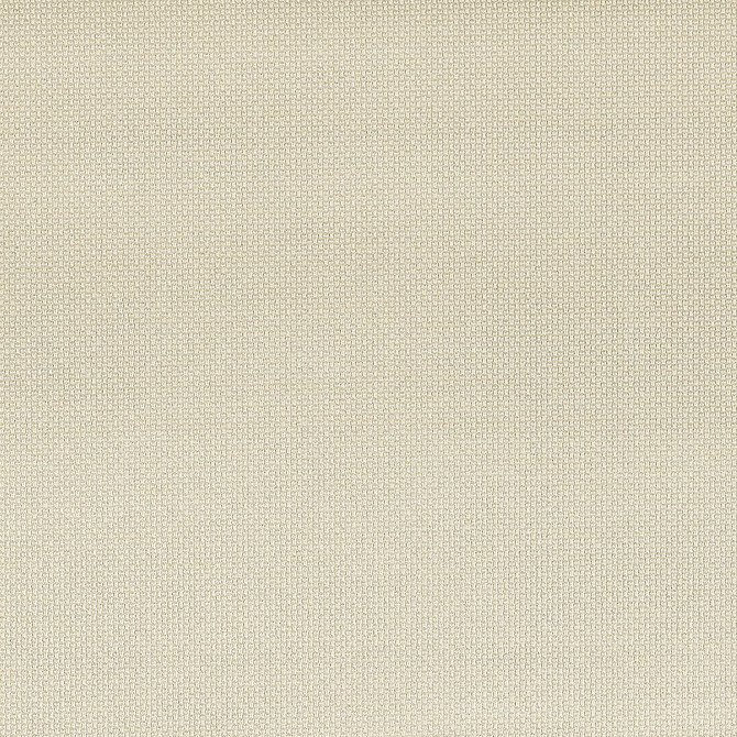 Trio 8 Platinum by Stout Designer Fabric ON THE GO 100%POU 1%OTH CHINA FLAME RETARDANT-CA BULLETIN 117-SECTION E FLAME RETARDANT-U.F.A.C. CLASS 1 FLAME RETARDANT-N.F.P.A. 260A CLASS 1 WYZENBEEK 500 000 DOUBLE RUB WEAR TEST(EXTREMELY HEAVY DUTY) Horizontal: 0 and Vertical: 0 54 in - Swanky Fabrics -