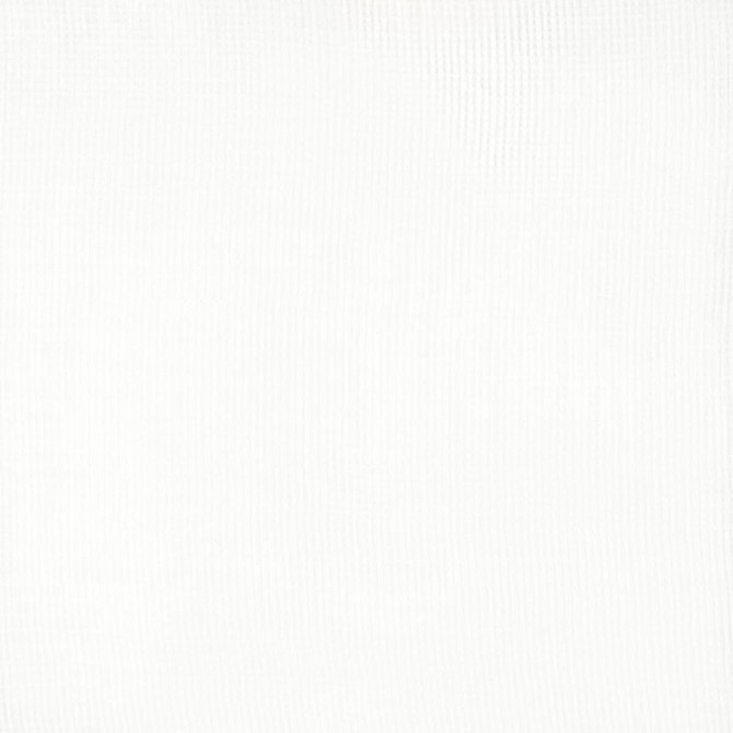 Desmond 1 Vanilla by Stout Designer Fabric Sheer Essentials 100% Polyester CHINA FLAME RETARDANT-N.F.P.A. 701 SMALL SCALE Horizontal: 0 and Vertical: 0 118 in - Swanky Fabrics -