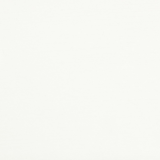 Admire 4 Snow by Stout Fabric Stout Fabric Admire 4 SnowFabric SATIN SPLENDOR INDIA </p><p>Repeat: H: 0.000, V: 0.000 55 in - Fabric Carolina -