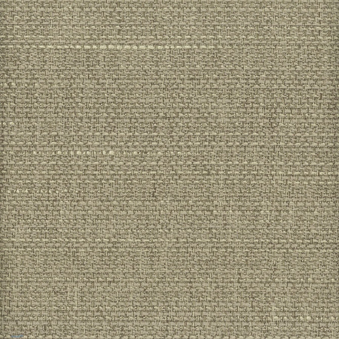 Halogen 12 Shadow by Stout Fabric Stout Fabric Halogen 12 ShadowFabric MYTH Fabric FR TEXTURES TAIWAN </p><p>Repeat: H: 0.000, V: 0.000 54 in - Fabric Carolina -