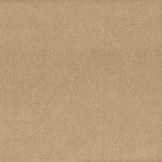 Wilkinson 4 Fawn by Stout Designer Fabric On The Go 100% Polyurethane 1% Other CHINA FLAME RETARDANT-CA BULLETIN 117-SECTION E FLAME RETARDANT-U.F.A.C. CLASS 1 (OR A) FLAME RETARDANT-N.F.P.A. 260A CLASS 1 WYZENBEEK 500 000 DOUBLE RUB WEAR TEST(EXTREMELY HEAVY DUTY) FLAME RETARDANT-FMVSS 302 Horizontal: 0 and Vertical: 0 54 in - Swanky Fabrics -