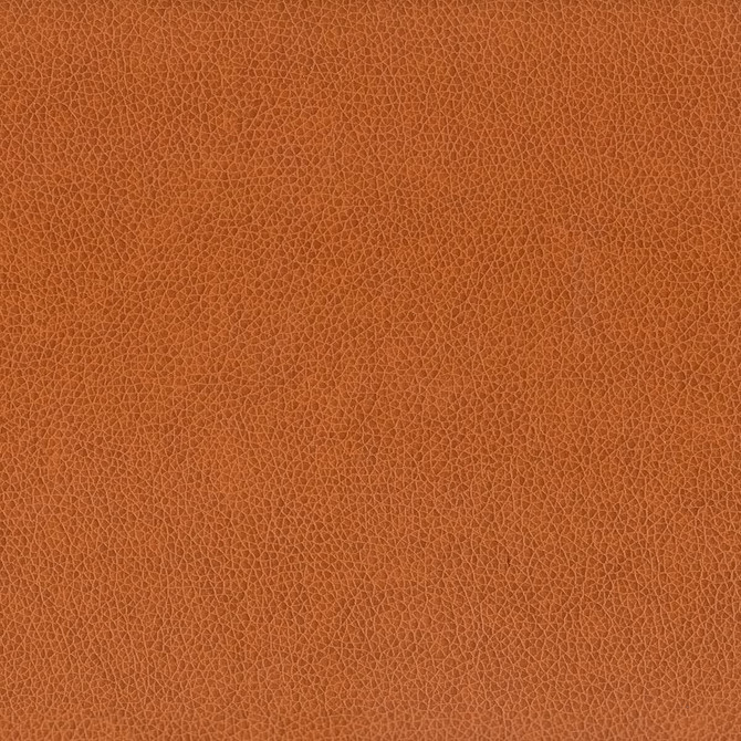 Wilkinson 7 Cognac by Stout Designer Fabric ON THE GO 100%POU 1%OTH CHINA FLAME RETARDANT-CA BULLETIN 117-SECTION E FLAME RETARDANT-U.F.A.C. CLASS 1 FLAME RETARDANT-N.F.P.A. 260A CLASS 1 WYZENBEEK 500 000 DOUBLE RUB WEAR TEST(EXTREMELY HEAVY DUTY) FLAME RETARDANT-FMVSS 302 </p><p>Repeat: 0 54 in - Swanky Fabrics -