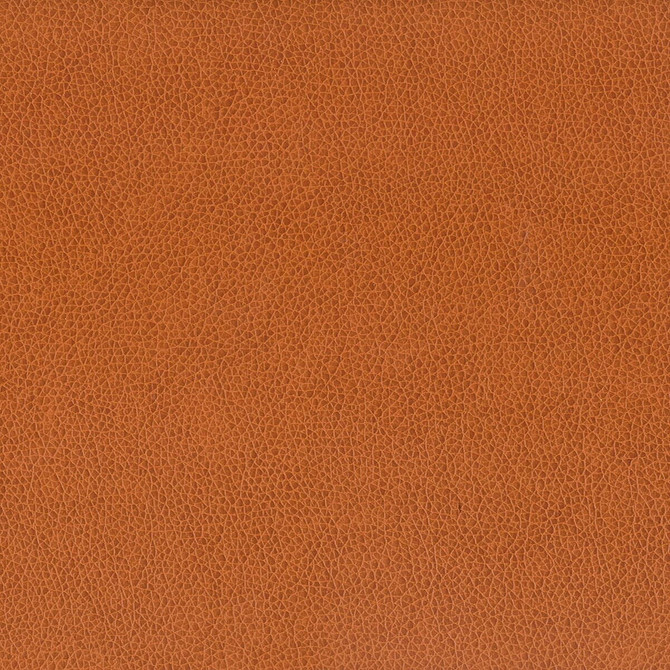 Wilkinson 7 Cognac by Stout Designer Fabric ON THE GO 100%POU 1%OTH CHINA Horizontal: 0.000 and Vertical: 0.000 54 in - Swanky Fabrics -