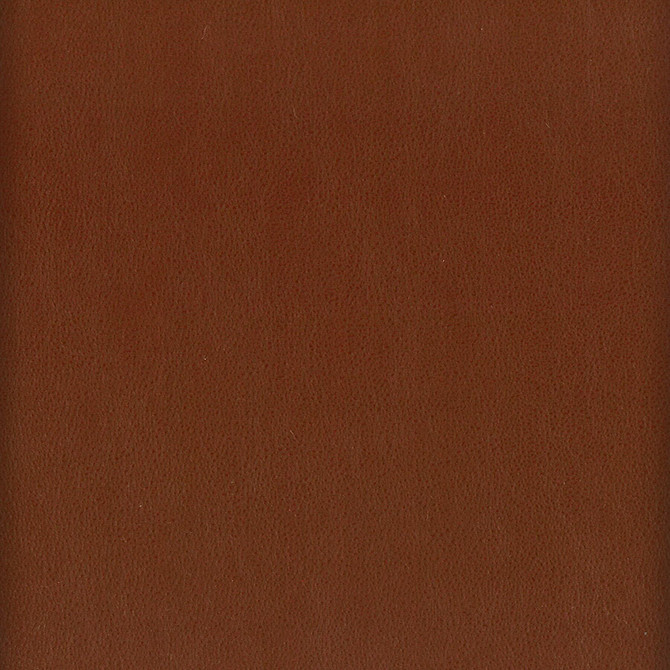 Elbert 10 Nutmeg by Stout Fabric Stout Fabric Elbert 10 NutmegFabric LEATHER LOOKS III PERFORMANCE 70%PVC 25%POL 5%POU CHINA </p><p>Repeat: H: 0.000, V: 0.000 54 in - Fabric Carolina -