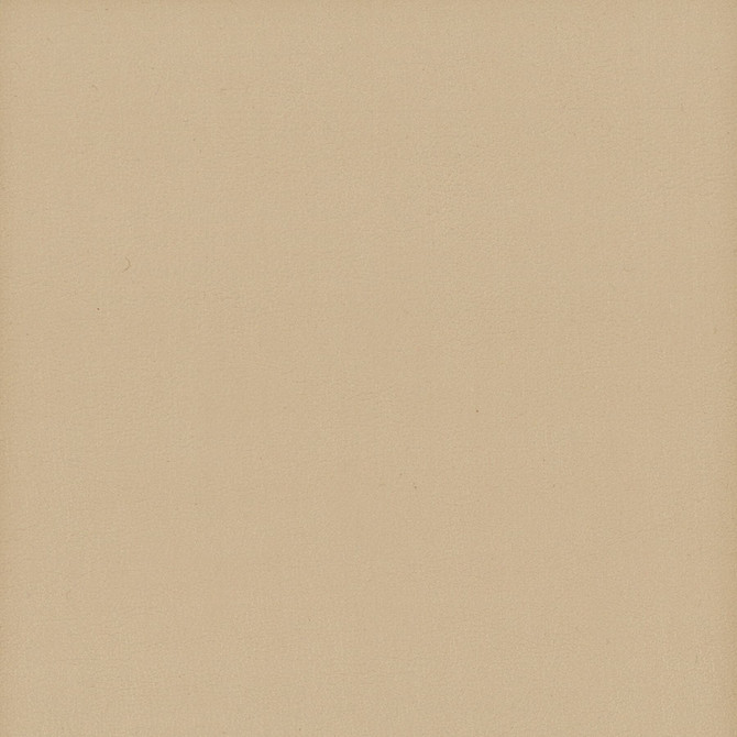 Elbert 11 Biscuit by Stout Designer Fabric LEATHER LOOKS III PERFORMANCE 70%PVC 25%POL 5%POU CHINA WYZENBEEK 24 000 DOUBLE RUB WEAR TEST (HEAVY DUTY) Horizontal: 0.000 and Vertical: 0.000 54 in - Swanky Fabrics -
