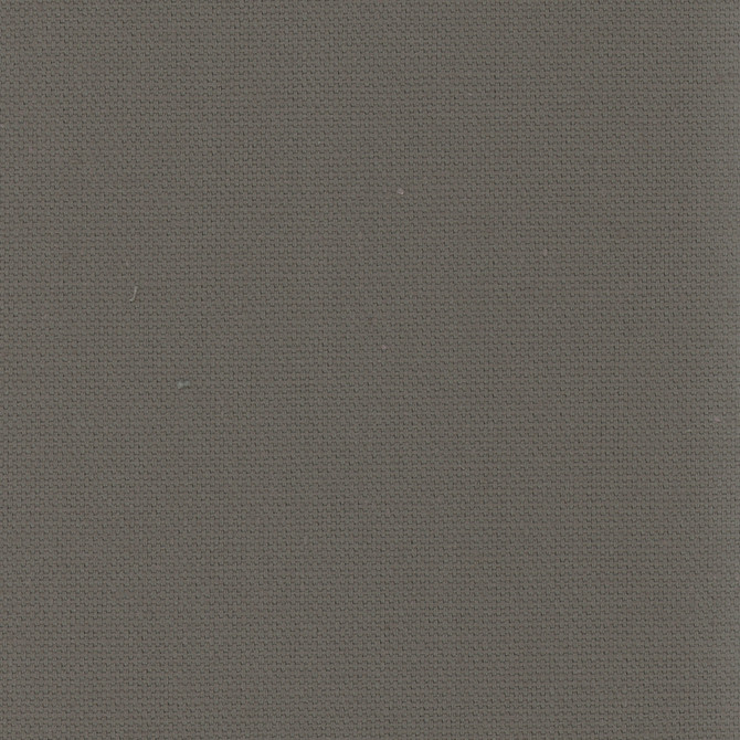 Daydreamer Gunmetal by Carole Designer Fabric Daydreaming 100% Cotton- Soil Release USA Passes 30,000 Double Rubs Wyzenbeek Horizontal: 0 and Vertical: 0 54 - Swanky Fabrics -